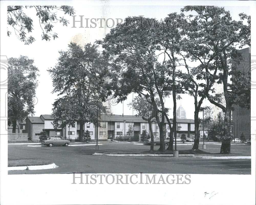 1977, Roseanch Park Project Trees Detroit - RRV89117 - Historic Images