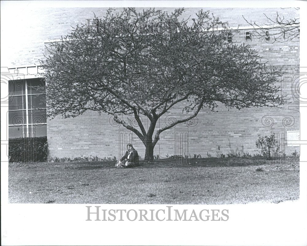 1976, Weather Art WSU Campus - RRV89121 - Historic Images