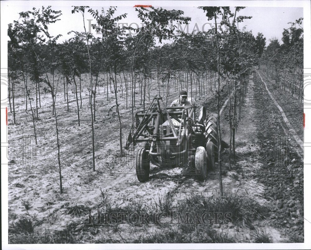 1958 John Baran River Rouge Park Nursery - Historic Images