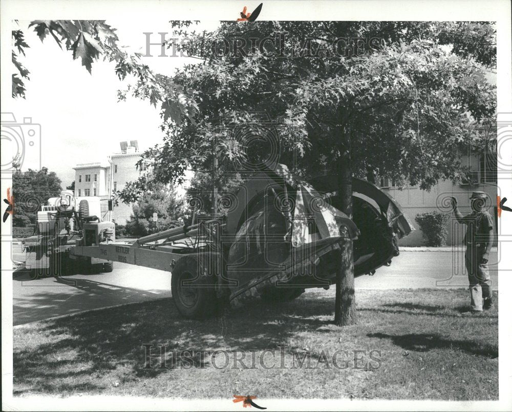 1966, Tree Moving Servicing - RRV89453 - Historic Images