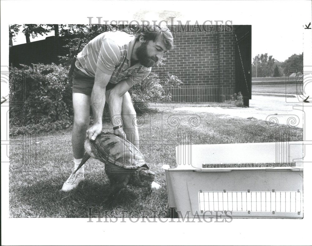 1989 Detroit Zoo Turtles - Historic Images