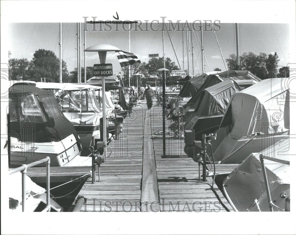 1988 Press Photo Michigan metro Beach Metropark Marinas - Historic Images