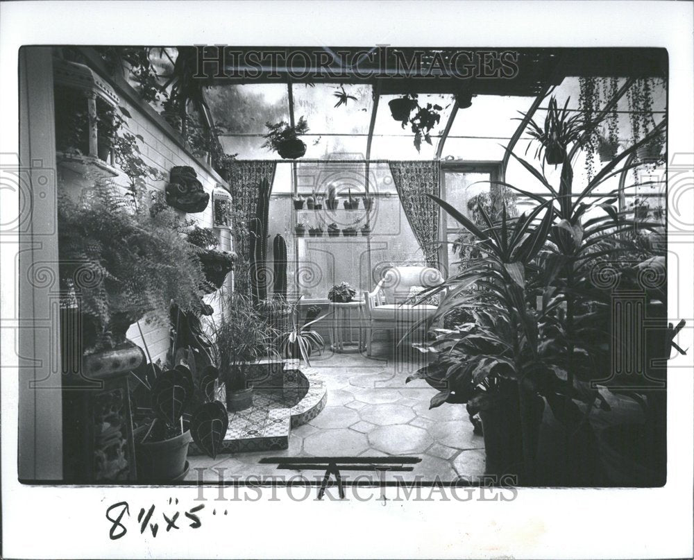 1979, Greenhouse tree decorated house - RRV90479 - Historic Images