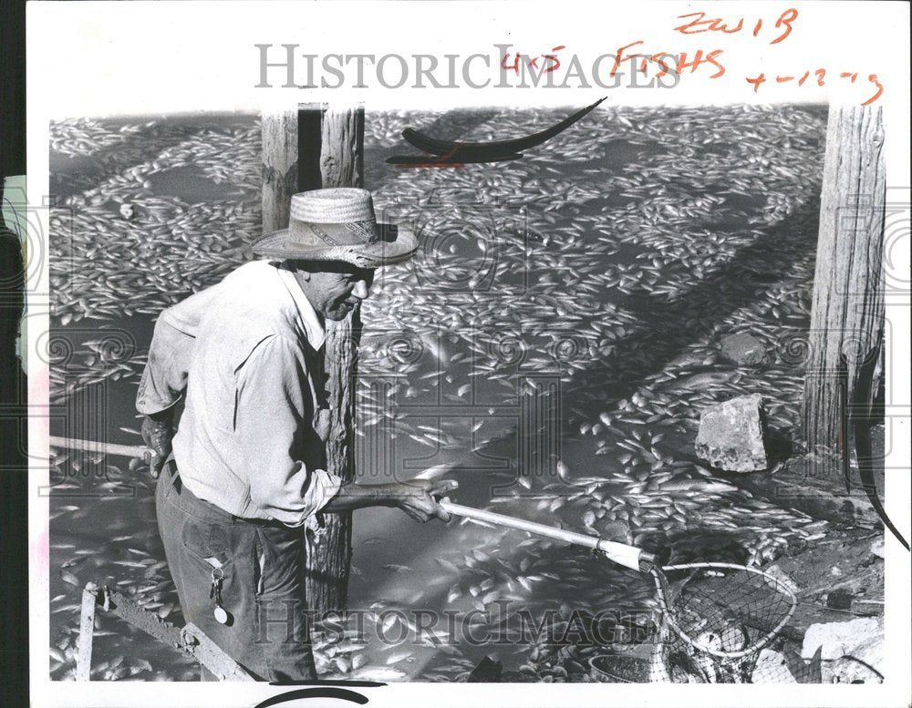 1977 Belleville Lake Dead Fish Mack Sumpter-Historic Images