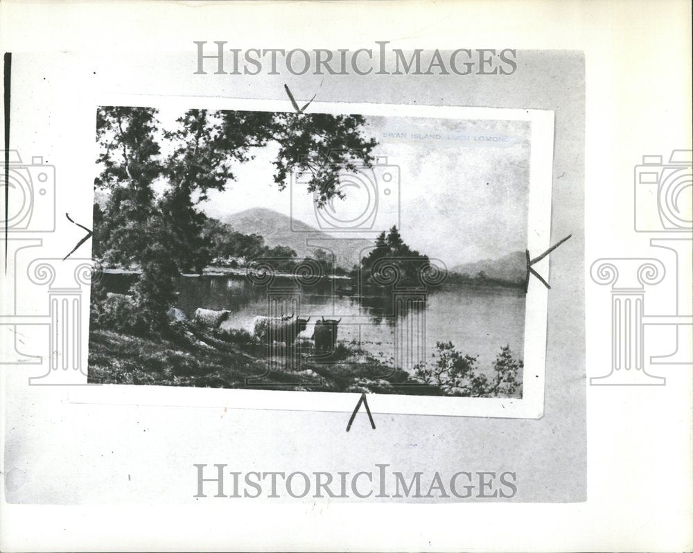 1937 Animals Lake Lomond drink water rocks-Historic Images