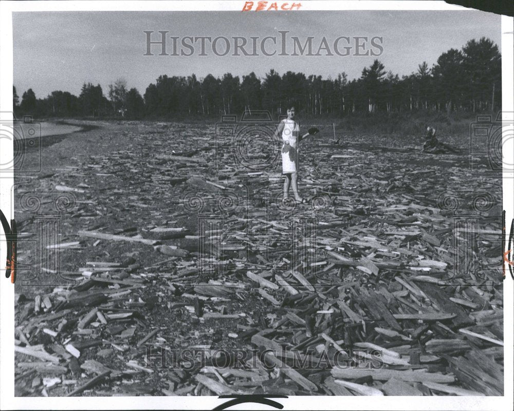 1969 Lakes Michigan Southwest Beach-Historic Images