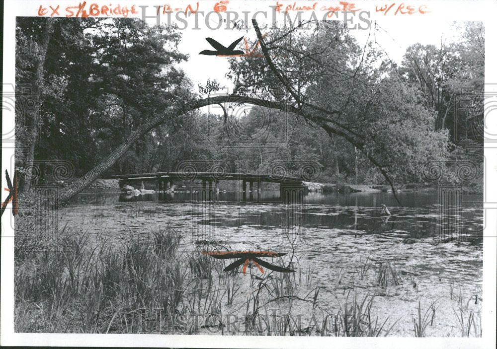 1972 Proud Lake Nature Trail Bridge water-Historic Images