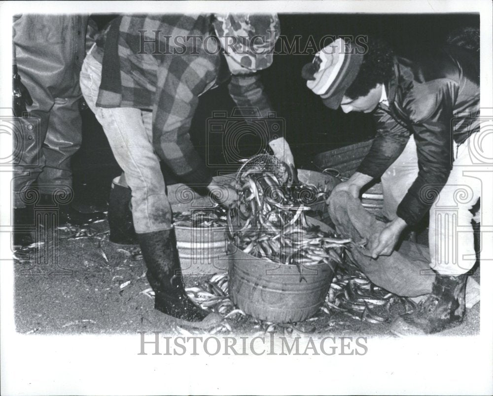 1979 Picture Show Pelee Smekt Michigan Fish-Historic Images