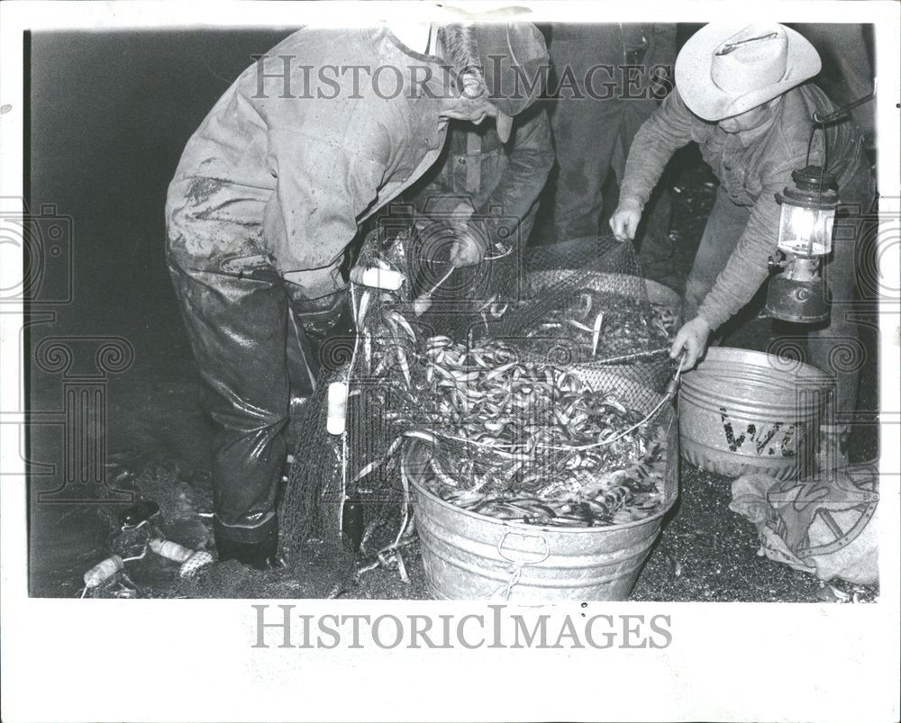 1973 Pelee Smelt-Historic Images