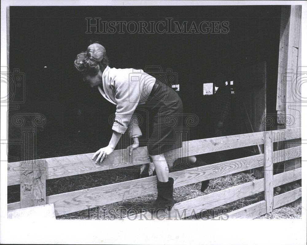 1965 Michigan Climbing Anotly Segal fences-Historic Images