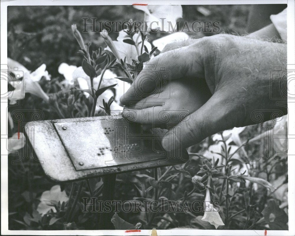 1956 Gardens Of Blind Memorial Park Chicago-Historic Images