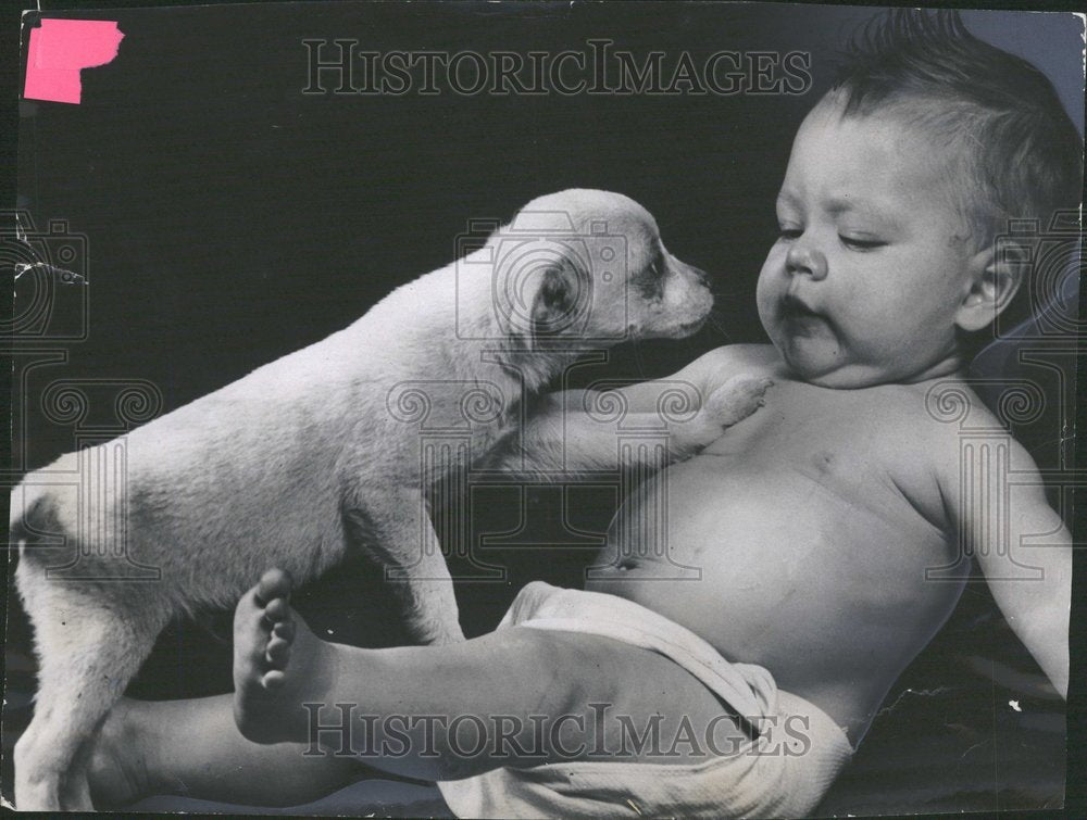 1950 Baby-Historic Images