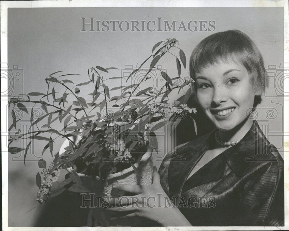 1959 Flower Secret Plume Chicago Park - Historic Images