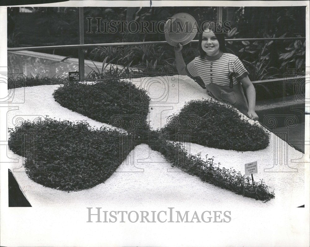 1972 Press Photo Shamrocks Garfield Park Conservatory - Historic Images