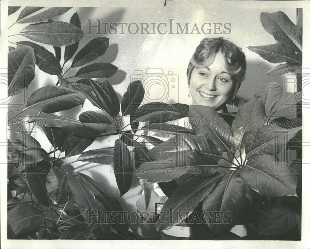 1980, Australian Umbrella Chicago Park - RRV93775 - Historic Images
