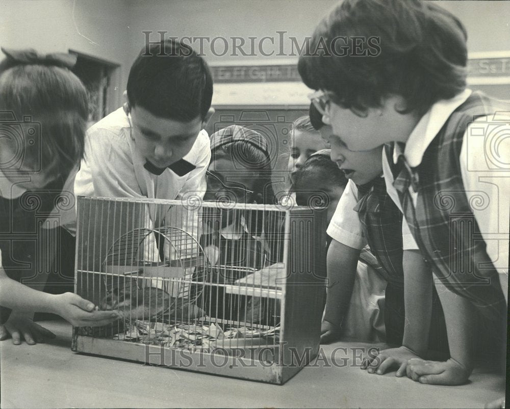 1965 Photo Holy Trinity Day School For The Deaf+Blind-Historic Images