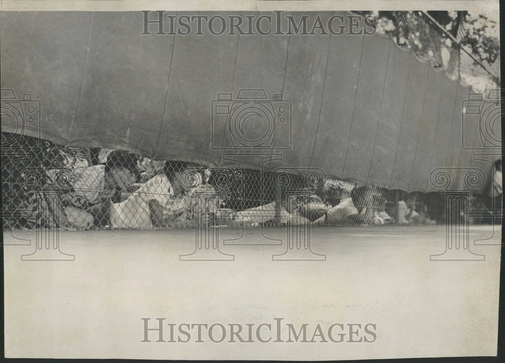 1956 Press Photo River Forest Tennis Club Fans - Historic Images