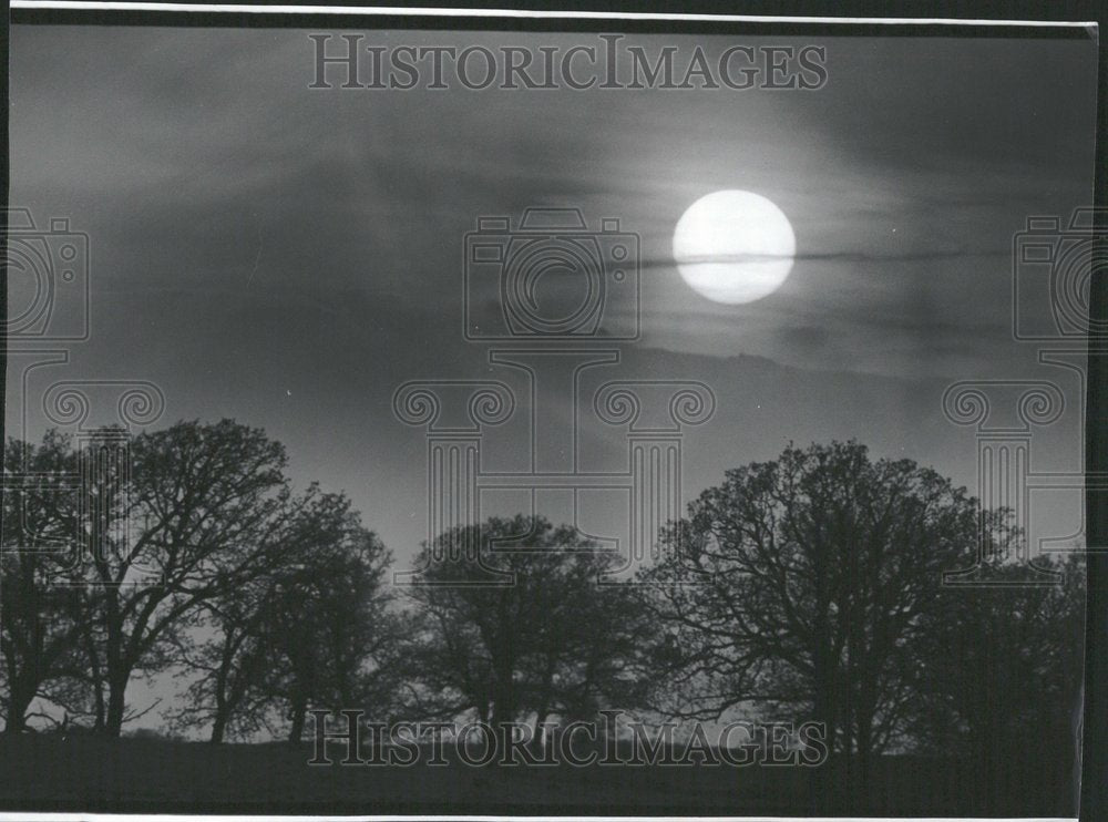 1993 Press Photo Sun Sets Over Tree Line In Elgin - RRV95297 - Historic Images