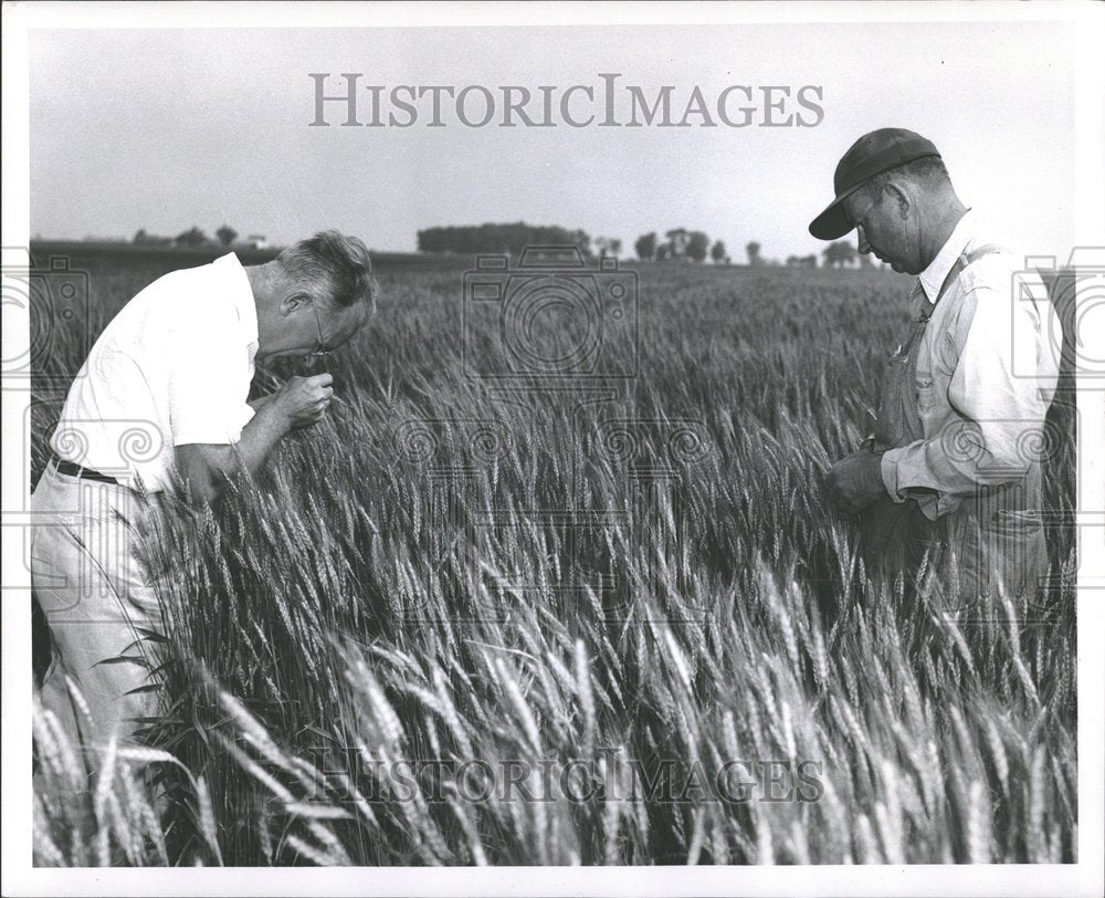 1953 Dr. George Decker Entomologist Farm-Historic Images