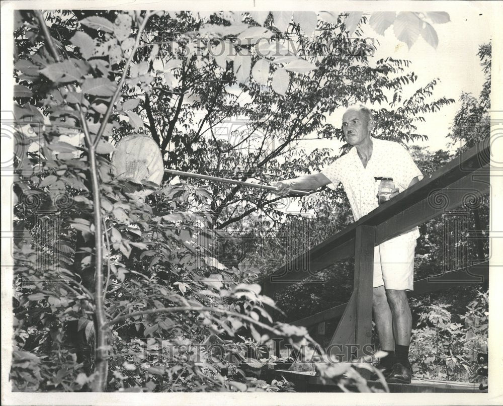 1955 Arthur J. Soderling catching insects.-Historic Images