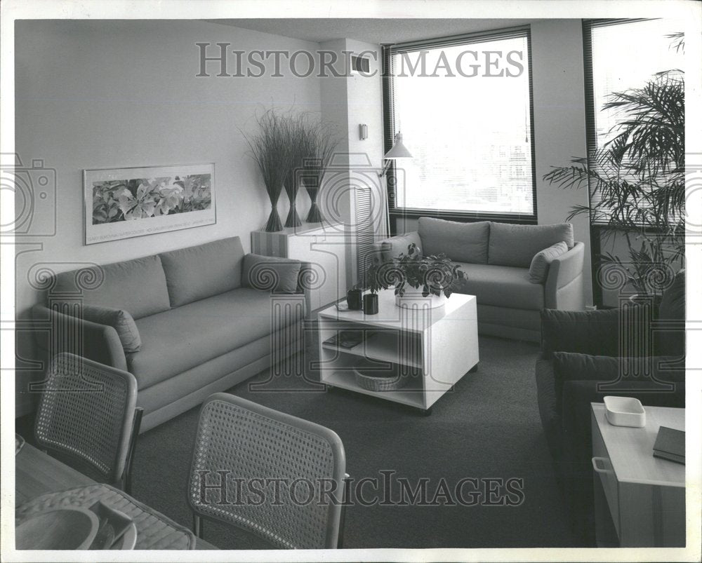 1982, Rienzi Plaza Unit Windows Ceiling - RRV97847 - Historic Images