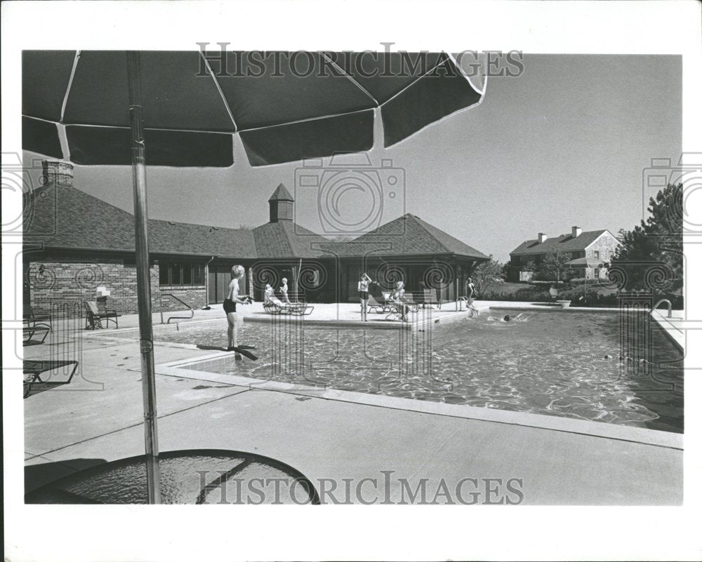 1978 Press Photo Ancient Tree Development - RRV98063 - Historic Images