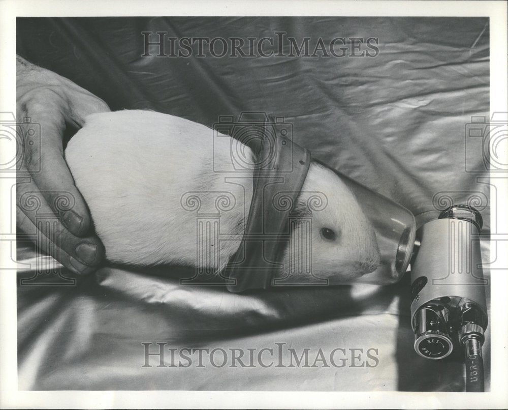 1959 Press Photo Worlds Smallest Resuscitators Guinea - RRV98103-Historic Images