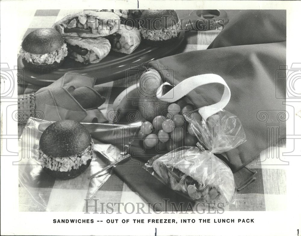 1984, Frozen Sandwiches Freezer Lunch Bag - RRV99243 - Historic Images