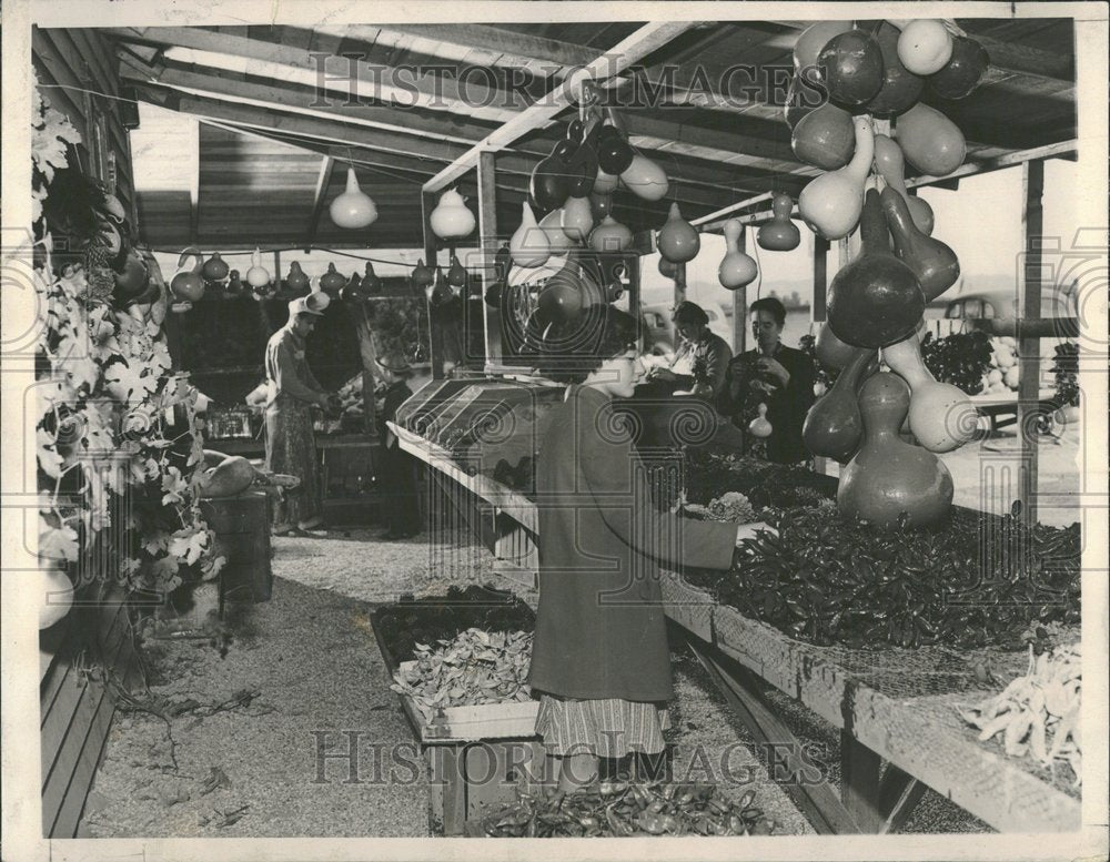 1941, Gourds clusters tourists hang Downey - RRV99959 - Historic Images