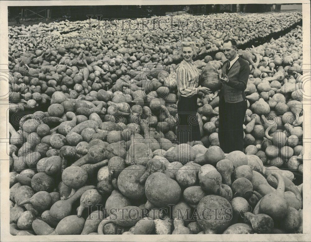 1941, Gourd Farming Downy CA Harold Peerson - RRV99963 - Historic Images