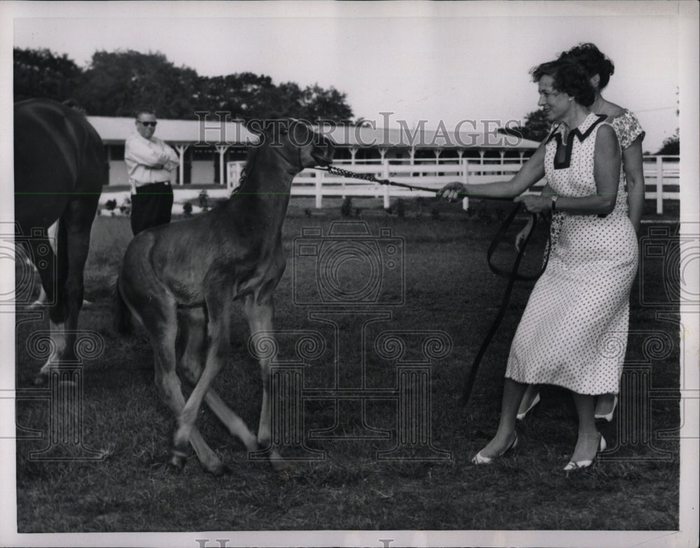 1957 Press Photo Spring Hill Horse Breeding Farm - RRW00407 - Historic Images