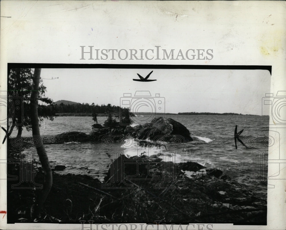 1954 Press Photo Keewevan Peninsula Larl Michigan North - RRW00495 - Historic Images