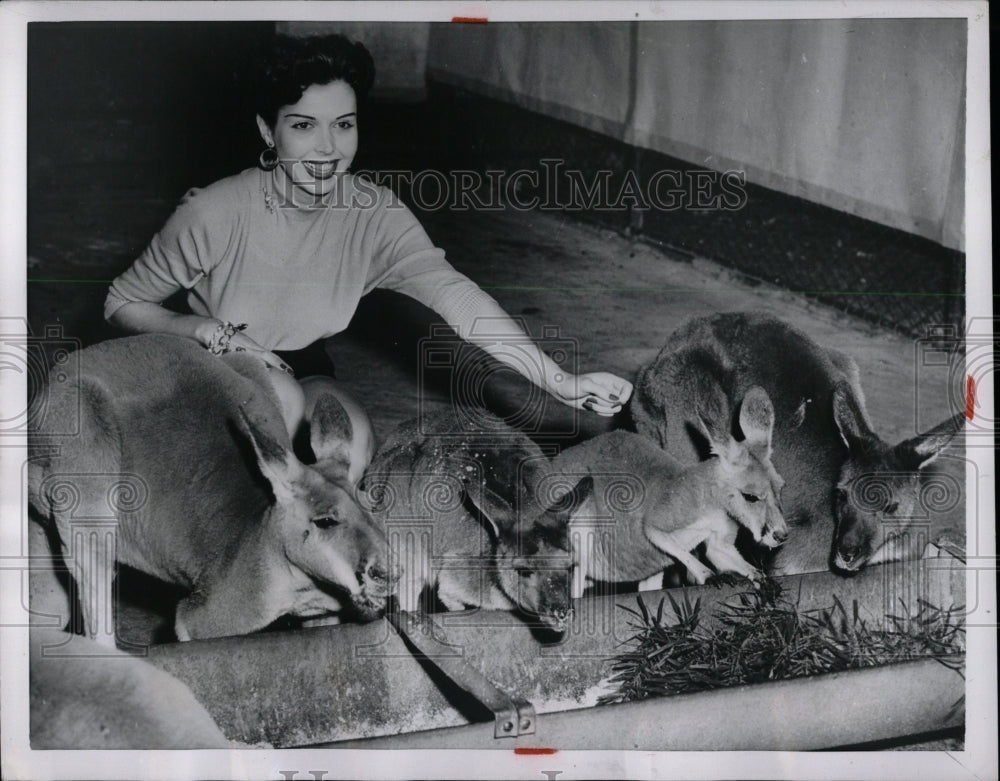 1955 Press Photo Ann Miller American Actress - RRW00517 - Historic Images