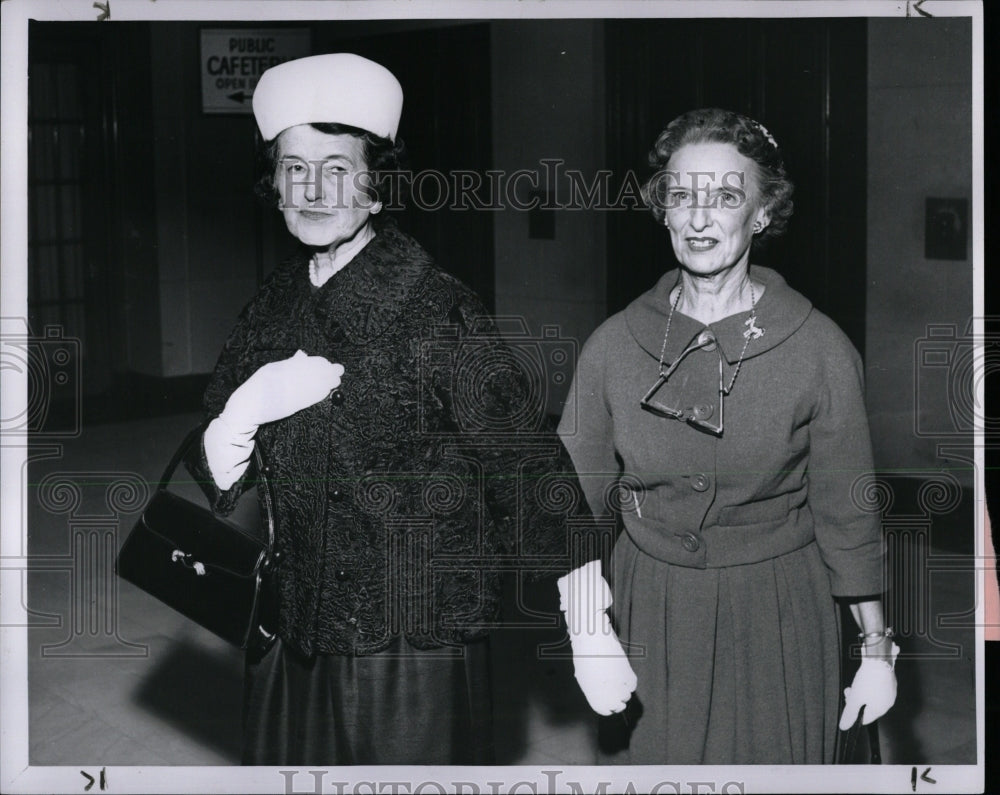 1960 Press Photo Adelaide Hart President Democrat Women - RRW01105 - Historic Images