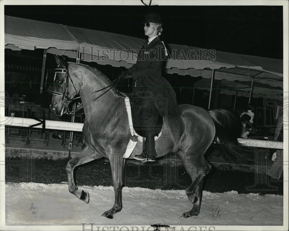 1980 Press Photo Horses Here horse man ready ride - RRW01267 - Historic Images