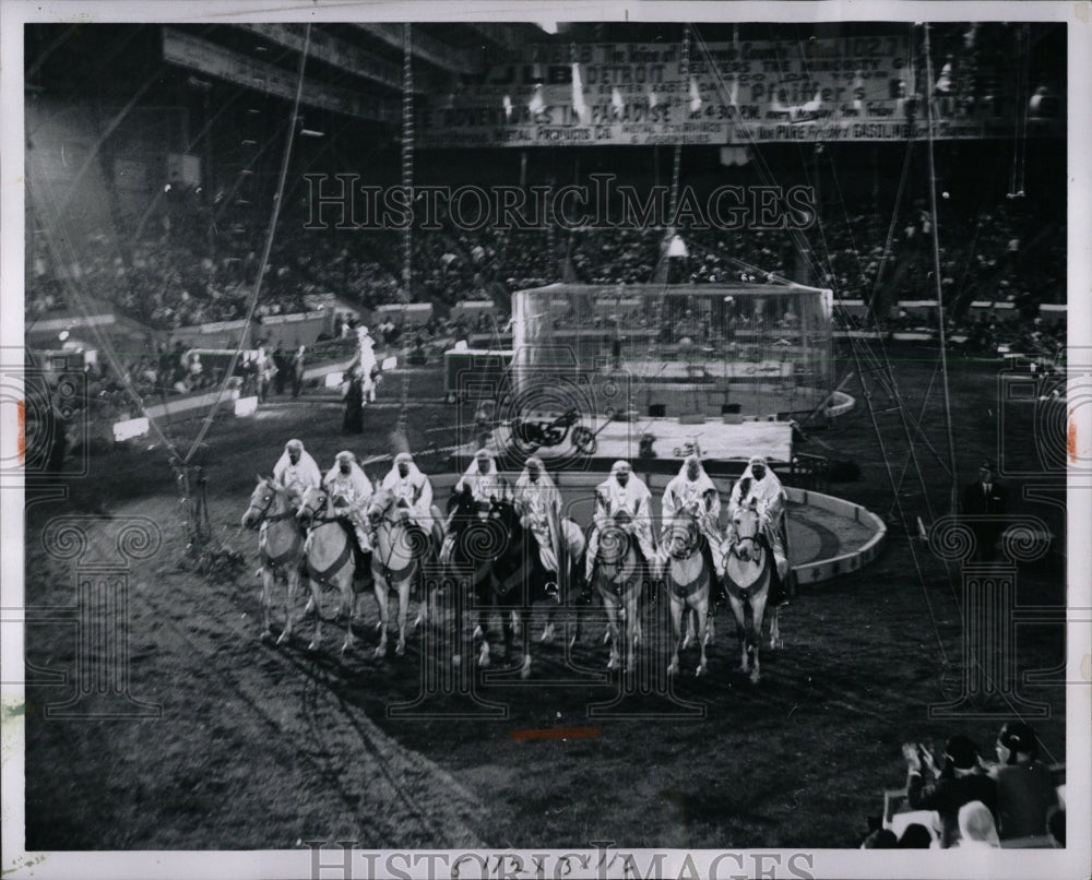 1965 Press Photo Arabian Horses - RRW01269 - Historic Images