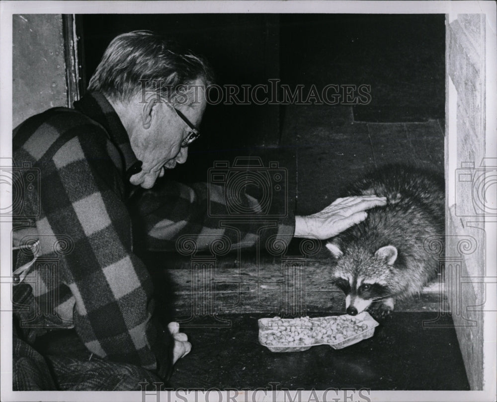 1960 Press Photo Joe Clark Pets Raccoon Curran MI - RRW01429 - Historic Images