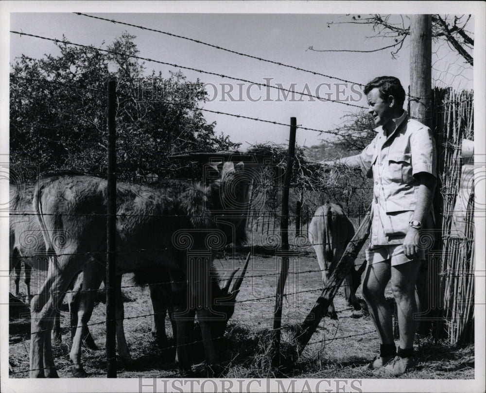 1965 Press Photo Don Hunt Alpaca Farmer - RRW02357 - Historic Images