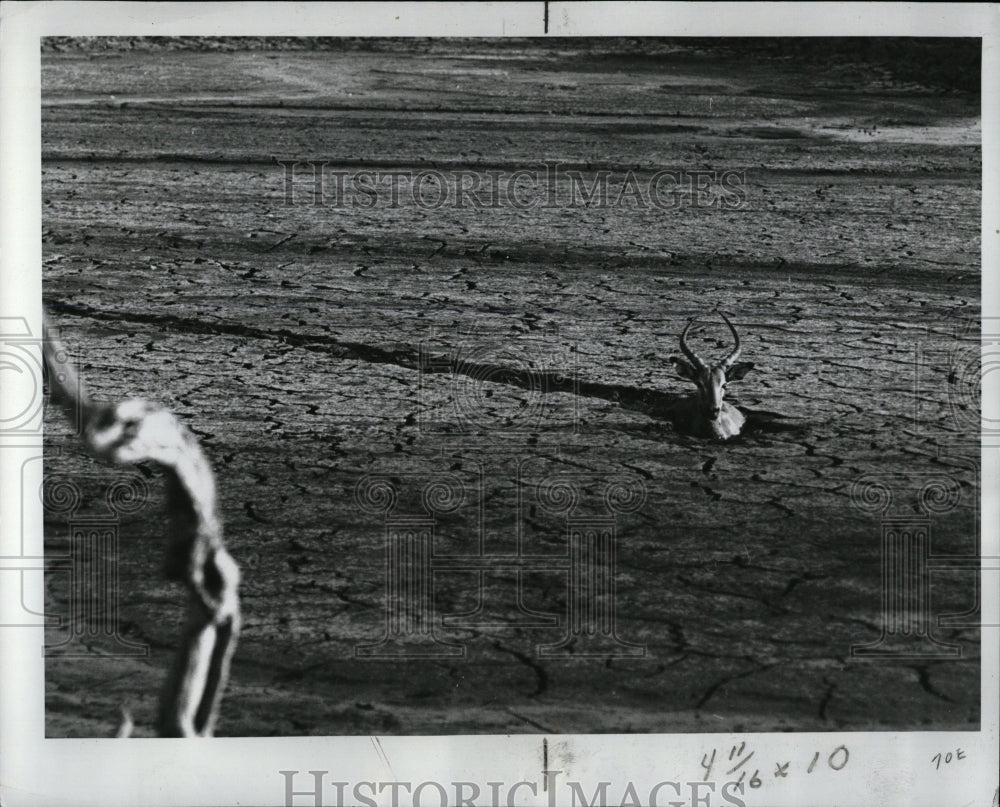 1963 Press Photo Stuck in Mud - RRW02839 - Historic Images