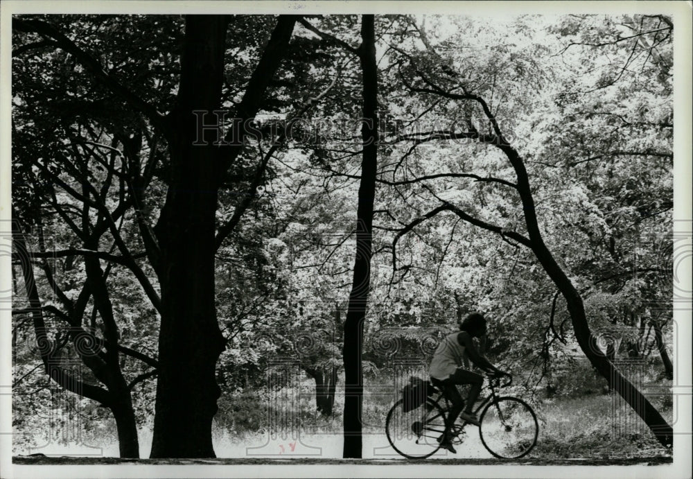 1983 Press Photo New York City Central Park - RRW02969 - Historic Images