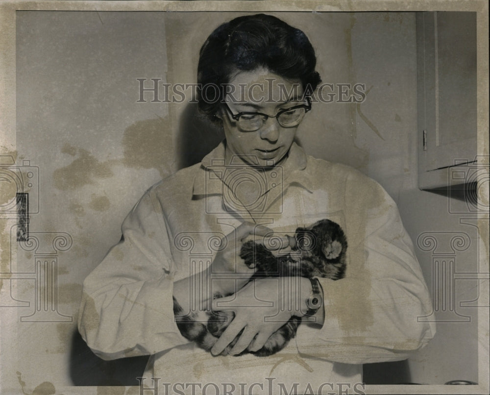 1958 Press Photo Baby Puma Detroit Zoo Feeding - RRW03137 - Historic Images