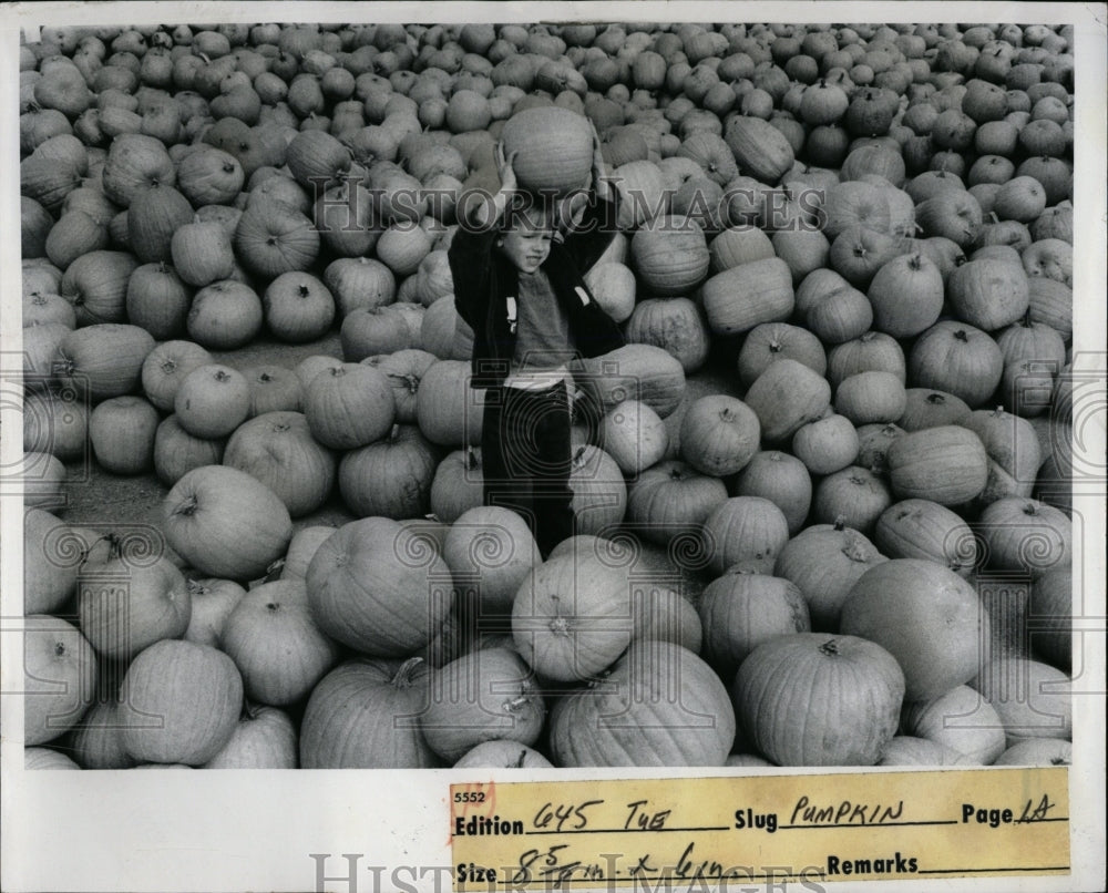 1973 Press Photo Bobby Brown Finds His Pumpkin - RRW03159 - Historic Images