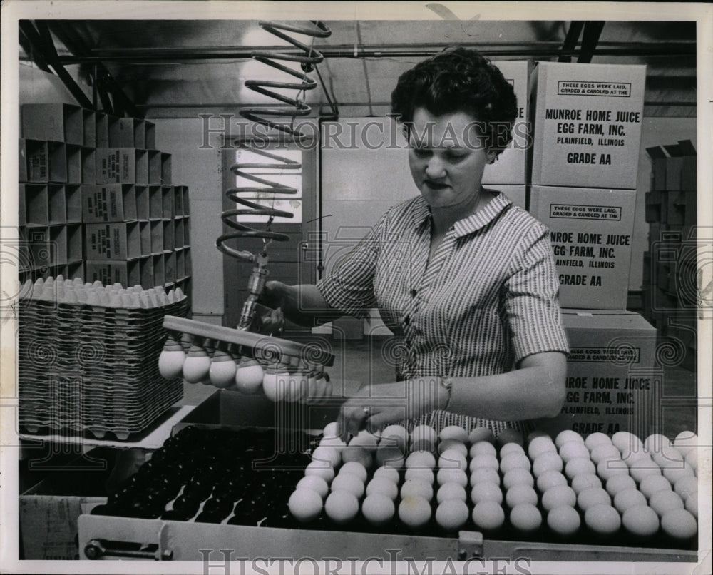 1963 Press Photo Eggs - RRW03275 - Historic Images