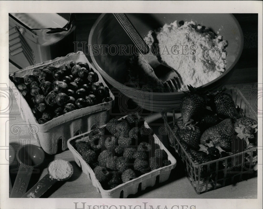 1990 Press Photo Berries used to make grunt dessert - RRW03801 - Historic Images