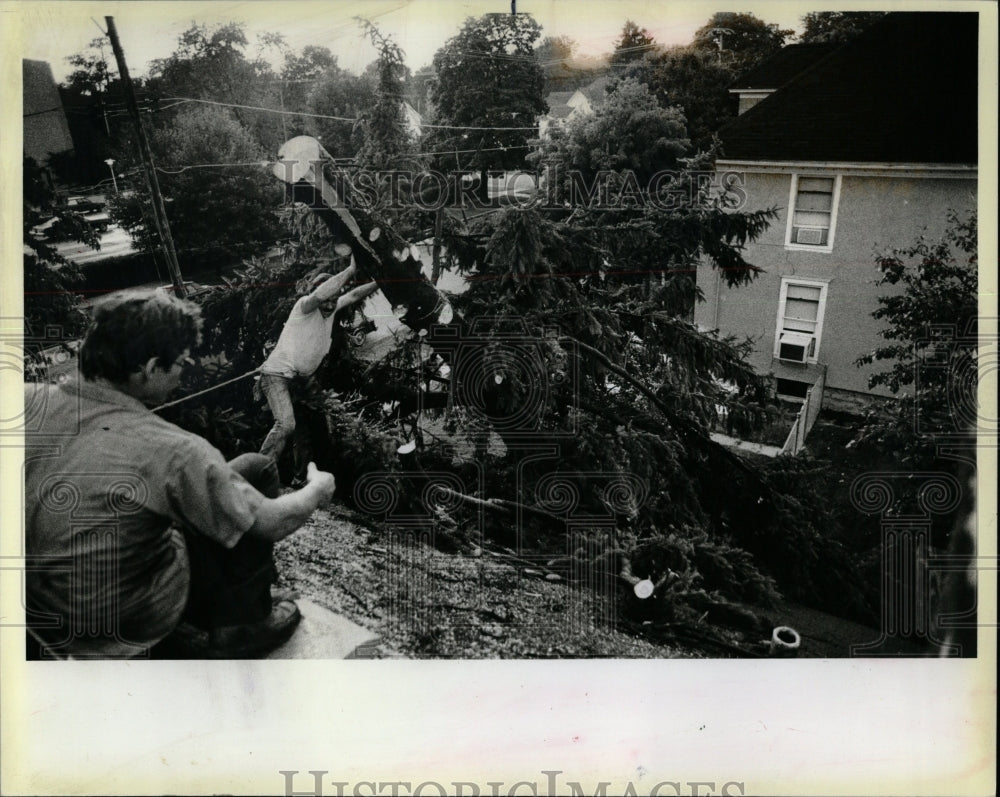 1983 Press Photo Lyle Dorman Unhooks Tree Fell House - RRW04465 - Historic Images