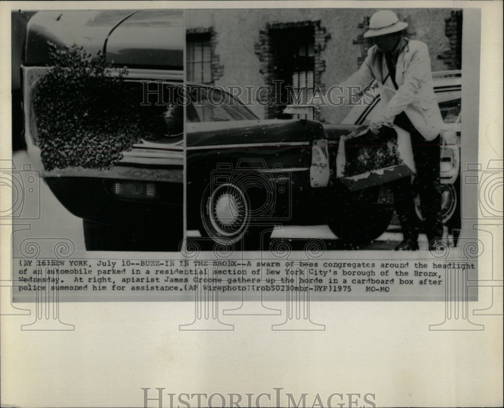 1975 Press Photo Apiarist James Groome Bees - RRW04525 - Historic Images