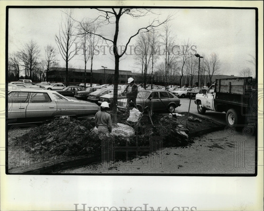 1984 Press Photo Lincoln Shire Quill Corp shovels trees - RRW04759 - Historic Images