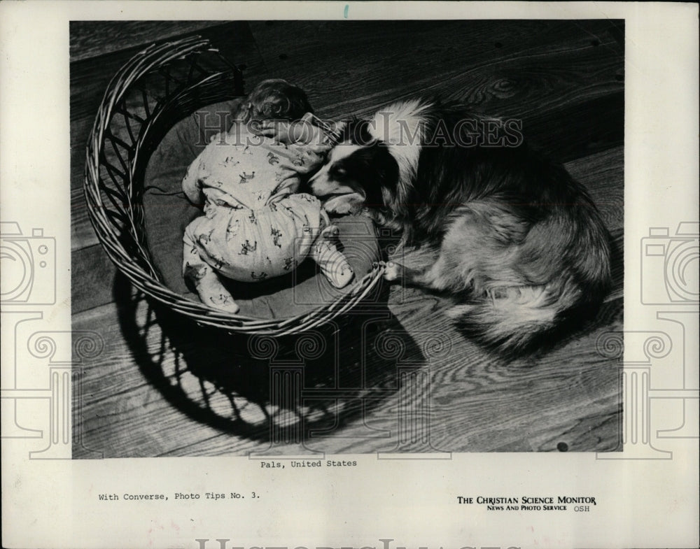 1977 Press Photo Animals christian Science Gordon door - RRW04853 - Historic Images