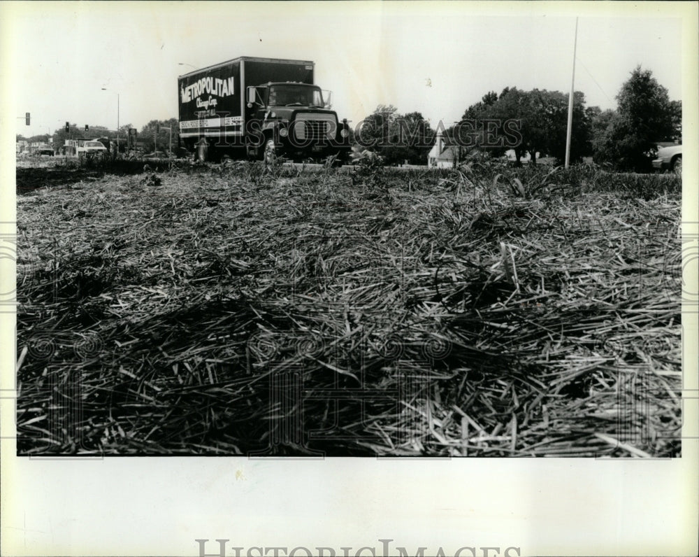 1988 Press Photo Edens Expy Dempster Straw Monday Grass - RRW04913 - Historic Images