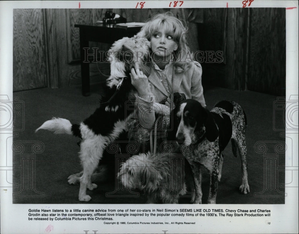 1990 Press Photo Goldie Hawn Actress Director Producer - RRW06305 - Historic Images